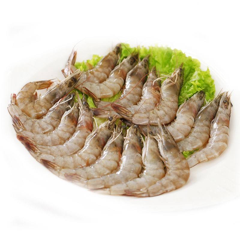 虾