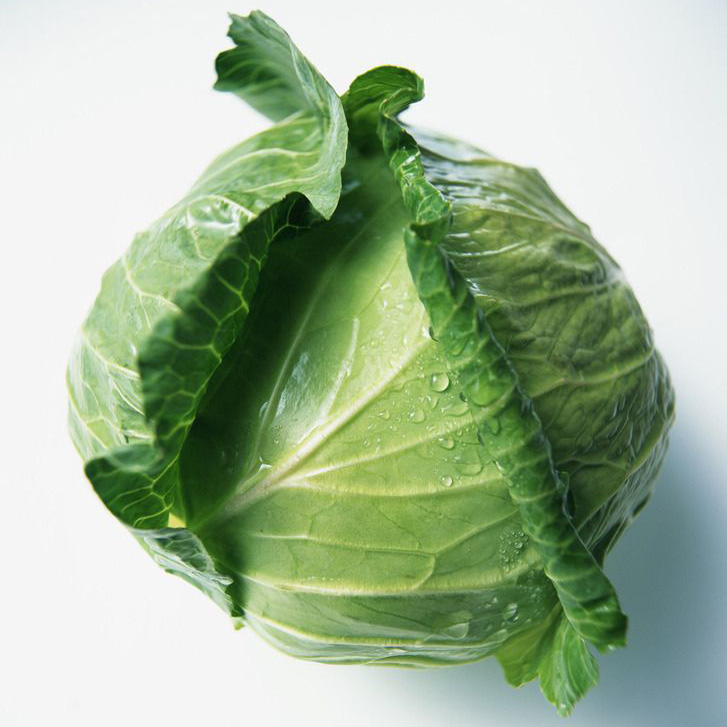 卷心菜