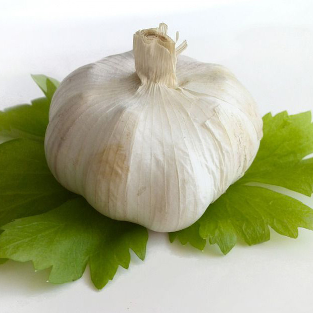 大蒜