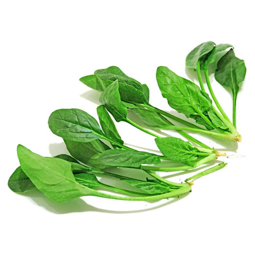 蔬菜