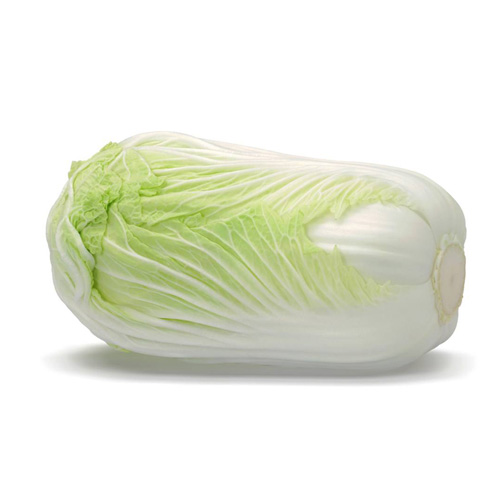 白菜